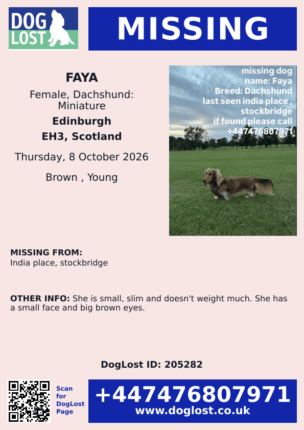 millypod1's tweet photo. 🆘8 OCT 2026 #Lost Faya #ScanMe #PUPPY
YOUNG Dachshund: Miniature Female
India Place #Stockbridge #EH3
#Edinburgh #Scotland
https://t.co/uClCn7WjDa https://t.co/vPNyYfcgcg