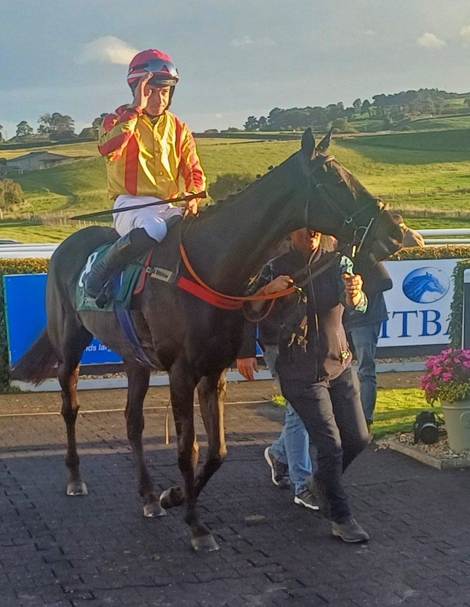IrishRacing365's tweet photo. Schiehallion and @ABalfe_ @DownpatrickRace https://t.co/dOyXhjl1YP