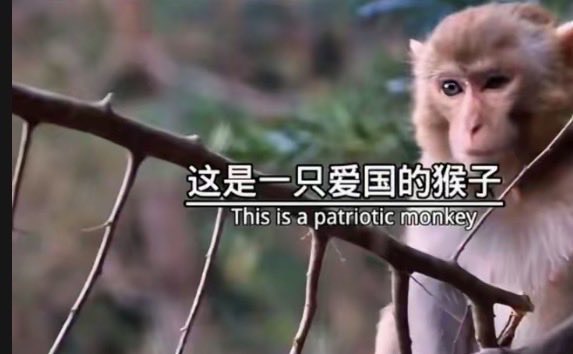 butFlazzh's tweet photo. @weiwuyangzc @K1ngCr1mS0n9 @hezehua5 https://t.co/I1kC1WpAiO