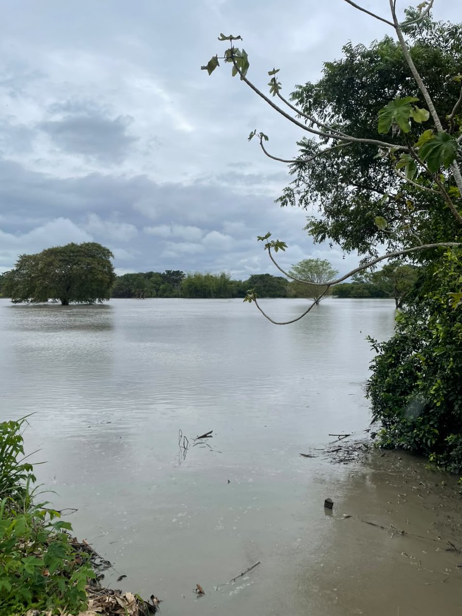 NRC_LAC's tweet photo. Ante una emergencia, contar con apoyo puede marcar una diferencia para las familias afectadas.
 
En Casanare, #Colombia, familias afectadas por las inundaciones recibieron apoyo económico para cubrir sus necesidades más urgentes y participaron en espacios para compartir sus preocupaciones, identificar riesgos, hablar sobre cómo cuidarse y conocer dónde y cómo buscar apoyo cuando lo necesitan.

#ConsorcioMIRE+ @ECHO_LatAm @SuizaColombia
@OCHAFunds @UNOCHA_Americas @OCHACOLOMBIA @AECIDColombia @MdM_Colombia @pastoralsocialc @ACHColombia
