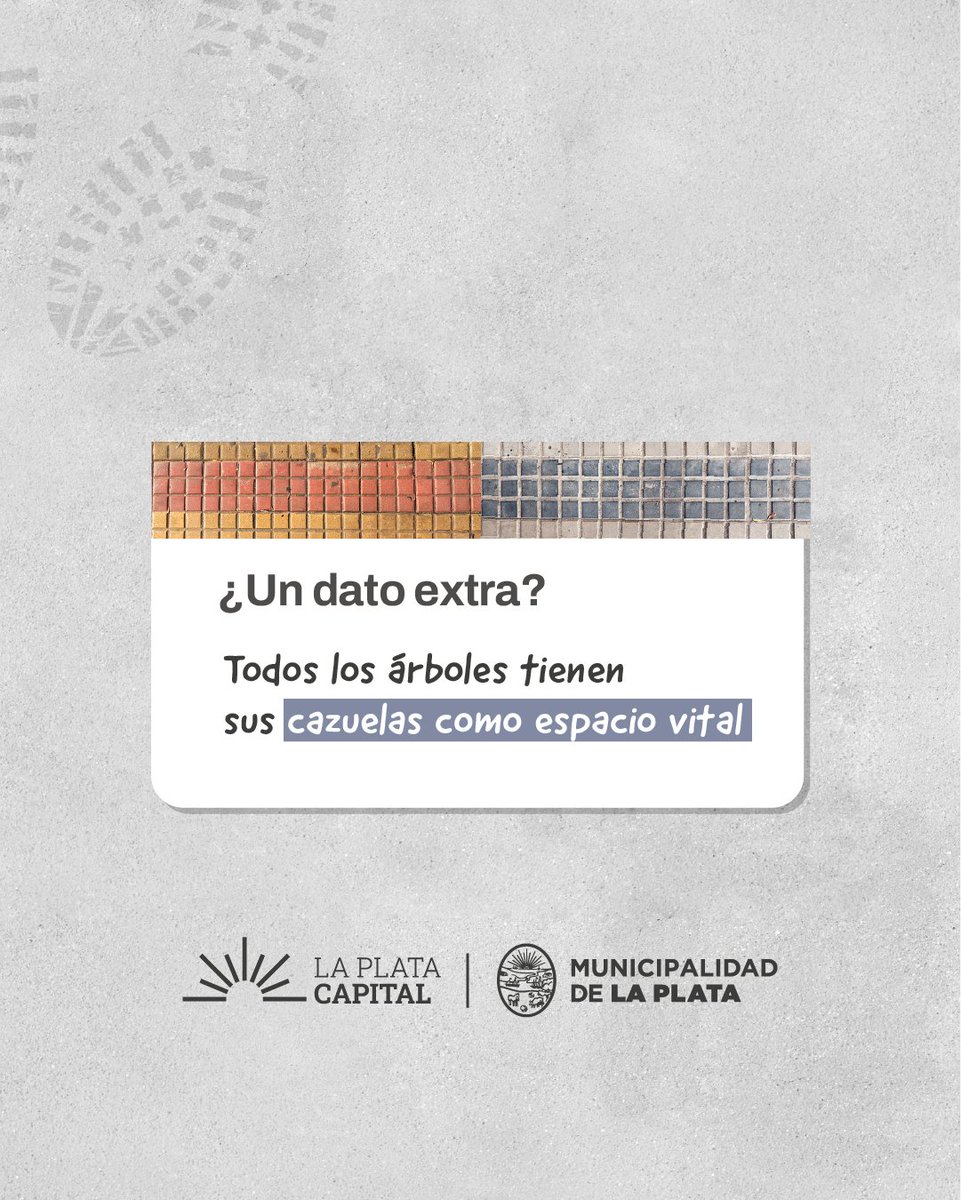 LaPlataMLP's tweet photo. ¡Nuestas veredas también cuentan la historia! 🚶‍♀️ Cuidarlas es seguir construyendo una ciudad más ordenada y segura 👉🏻 Conocé qué tener en cuenta según la zona en la que vivís. #LaPlataCapital https://t.co/pJJTs47h2M
