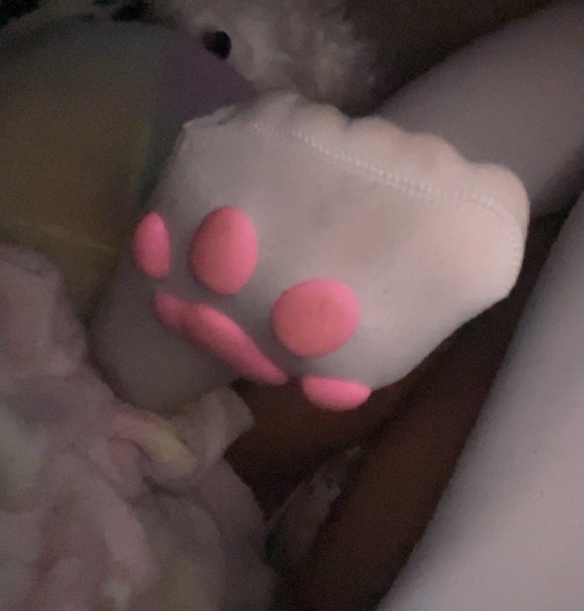tnypervert's tweet photo. Leaving paw prints everywhere I go~ 🍭#daddysgirl #feet #pawsocks #catgirl #socks #kemonomimi #feetfetish #nsfw #nsfwtw https://t.co/oa7HLH1QnZ