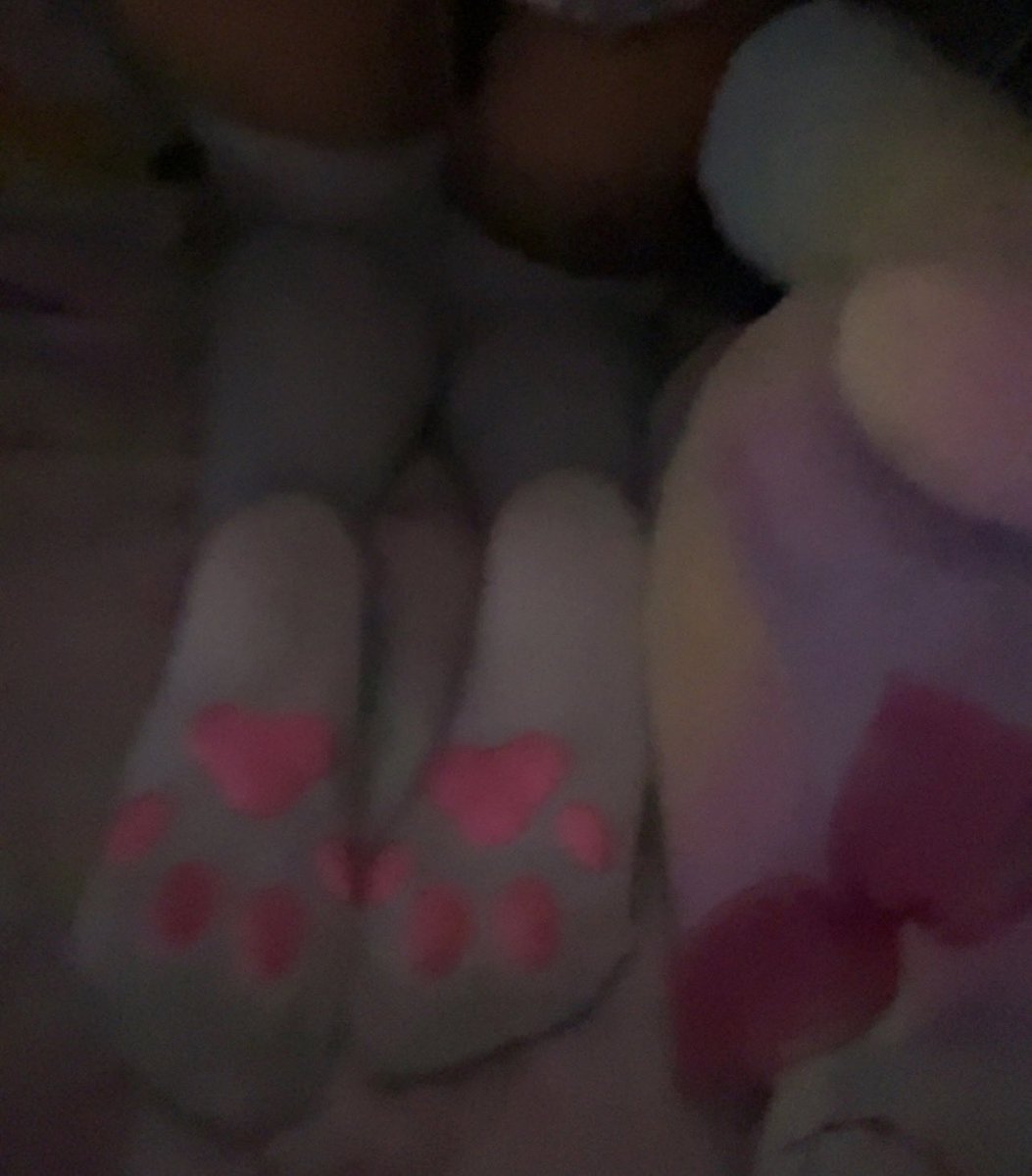 tnypervert's tweet photo. Leaving paw prints everywhere I go~ 🍭#daddysgirl #feet #pawsocks #catgirl #socks #kemonomimi #feetfetish #nsfw #nsfwtw https://t.co/oa7HLH1QnZ