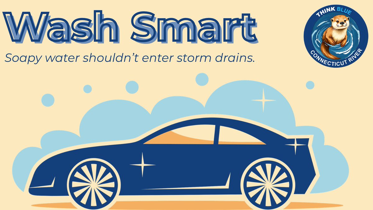 ThinkBlueCTR's tweet photo. ๐๐ง Where you wash your car matters.
Washing on pavement can send soap, dirt, oil, and other pollutants into storm drains. Use a commercial car wash when possible, or wash on grass where water can soak into the ground.
#ThinkBlue #MS4 #CleanWater #Stormwater https://t.co/mR8vptkgQ8