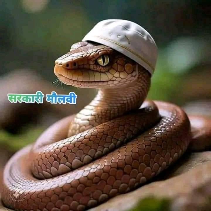 Faith_Islaam's tweet photo. @PTI_News Person behind this https://t.co/vLXXkzWApv