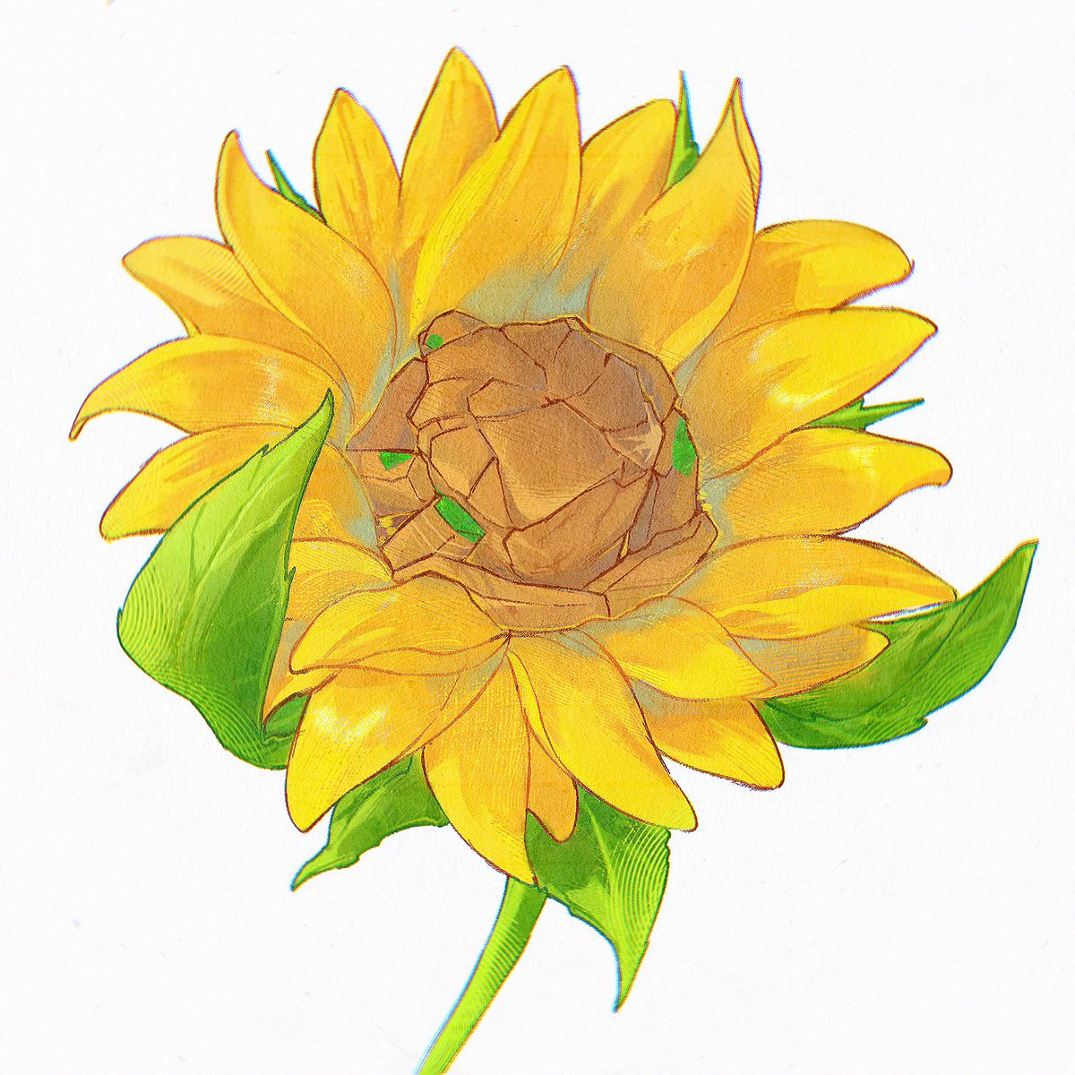 suanbuliu's tweet photo. 🪨🌻 https://t.co/c0ZejYEZnD