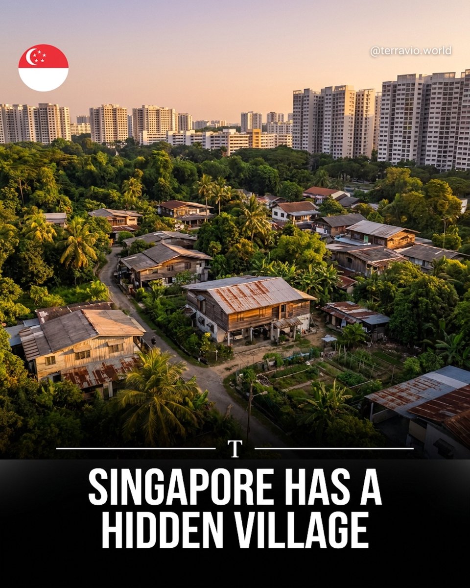 halitakta5's tweet photo. Imagine finding a tiny village inside one of Asia’s most futuristic cities. Kampong Lorong Buangkok, Singapore’s last mainland kampong, preserves wooden homes, zinc roofs and tropical greenery amid the skyline. Would you visit? https://t.co/ihgzU7TQFy
