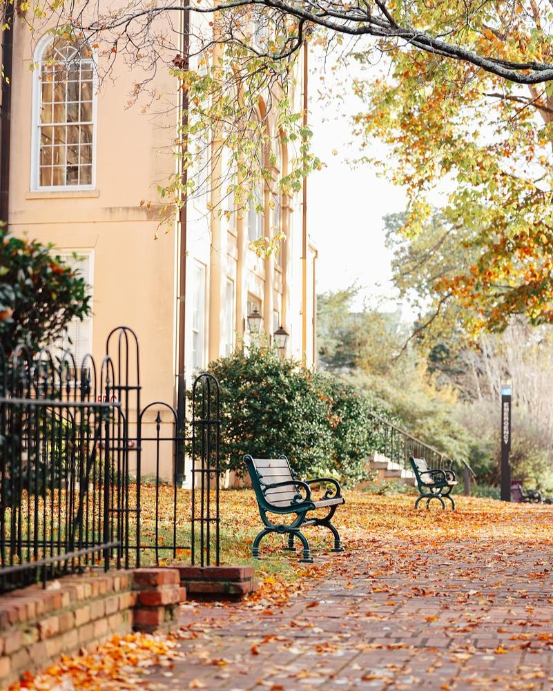 UofSC's tweet photo. Wish you were here 📍 https://t.co/DQtXRO9TOZ