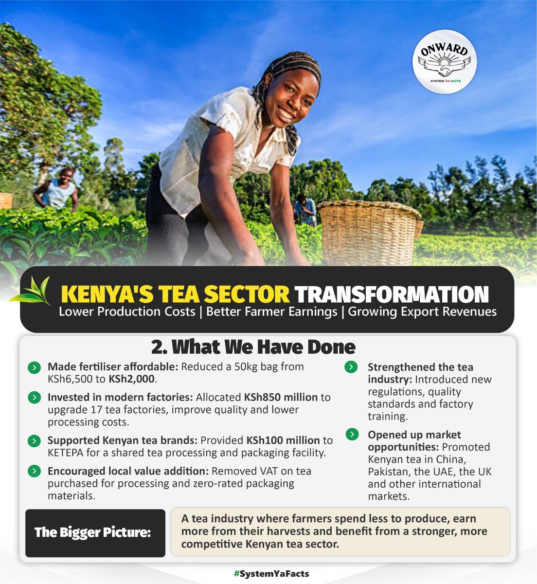 ungoverned_mind's tweet photo. Over 650,000 smallholder tea farmers have benefited from subsidised fertiliser, with approximately 290,000 tonnes supplied since 2022. Lower input costs are helping make tea farming more affordable. #ONWARD
#TeaSectorSuccesses 
Agriculture Summit 
Ruto Delivers https://t.co/iVcCAwFA5S