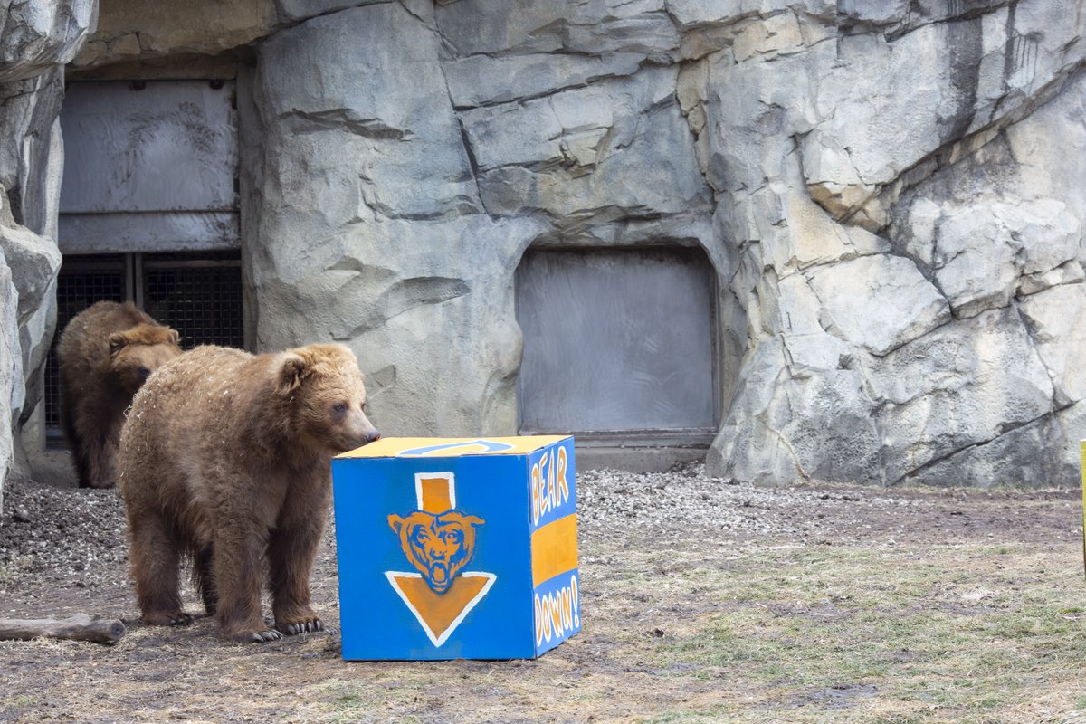 brookfield_zoo tweet picture