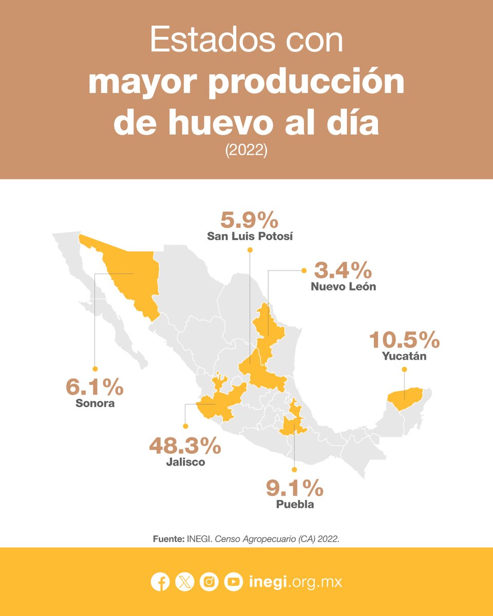 INEGI_INFORMA's tweet photo. 🪺 Datos al gusto. El Día Mundial del Huevo es una fecha para reconocer su importancia en nuestra alimentación. ¿Quieres conocer más sobre su producción en México? Hoy cocinamos este #DatoINEGI para ti. 🍳✨

¡Dale un vistazo!

¡Síguenos en LinkedIn y conoce más! https://t.co/JEF6BkUqM4
