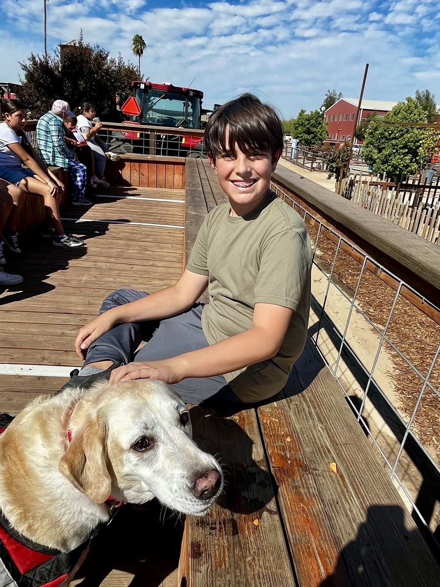 Luccrazy's tweet photo. #JackAttack and Biscuit had a blast at the Pumpkin Pooch day at Hunter Farms Pumpkin Patch. They even let dogs on the hayrides, and Jack loved all the dinosaur stuff. https://t.co/DGBl8TOeC4