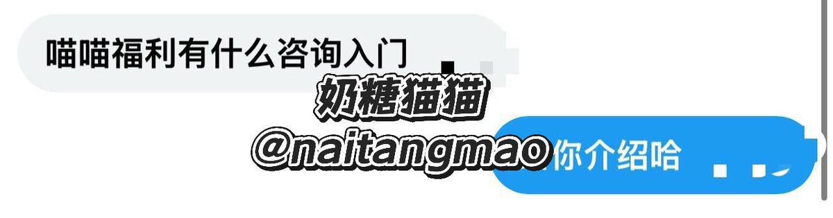 naitangmao's tweet photo. 猫猫劳模全天在线营业啦一直都在好评视频不重样fl超多度每日坚持更新露脸清纯反差好看主动私信一下我们的故事就开始啦当我的会员超幸福的哥哥们可以刷下我咨询号好评多到发不过来努力更新中直接私信我or加qq3104394480发口令30后续补差价入门快来私信啦嘿嘿真心换真心咨询号@puppqwq🥵 https://t.co/cxm0OLyxpB