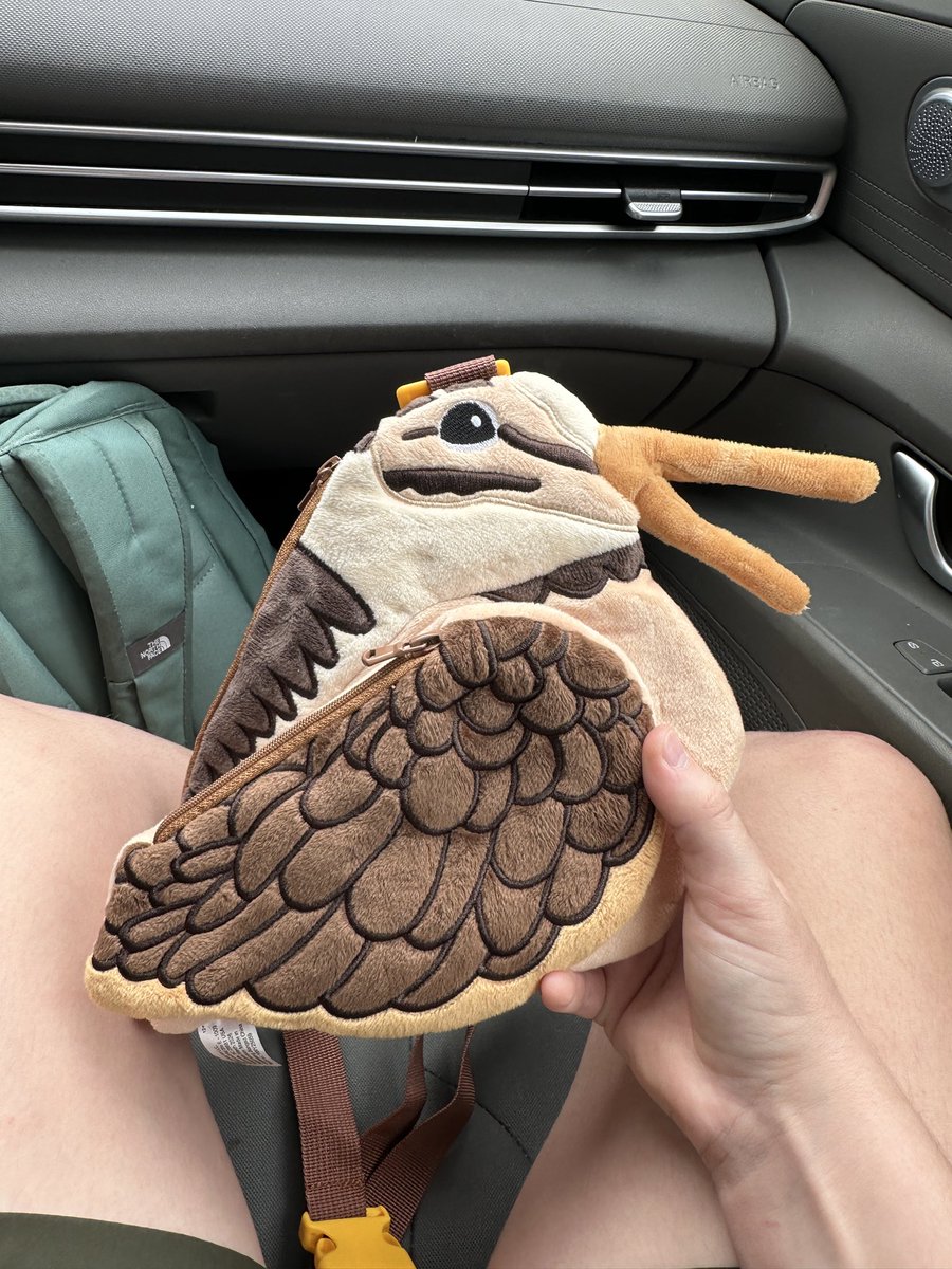 megaceryle_'s tweet photo. BAG SECURED https://t.co/vZC8MNBcXi