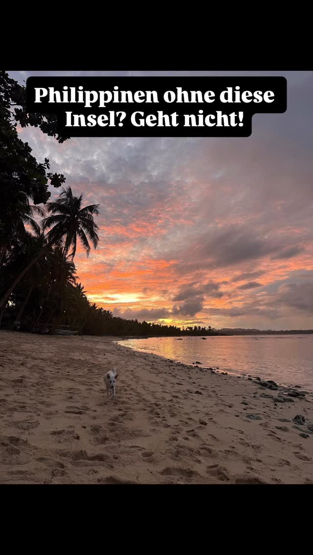 benjamin864's tweet photo. Wenn du auf die Philippinen reist und Siargao nicht auf deiner Liste steht, verpasst du eines der schönsten Inselerlebnisse. https://t.co/2l1EXwEp4n