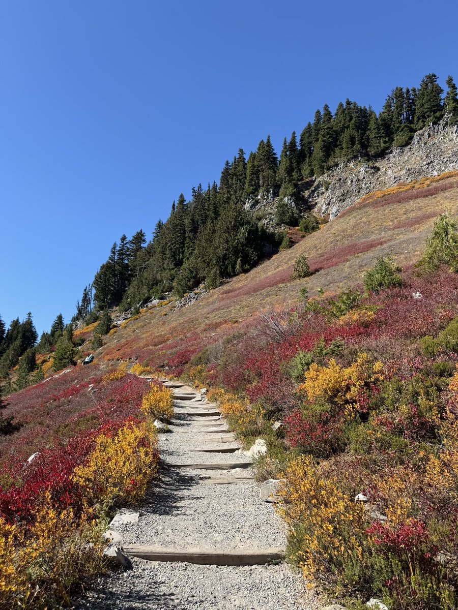 rawanara2's tweet photo. beautiful trail on skyline loop https://t.co/YDiYCOgtI2