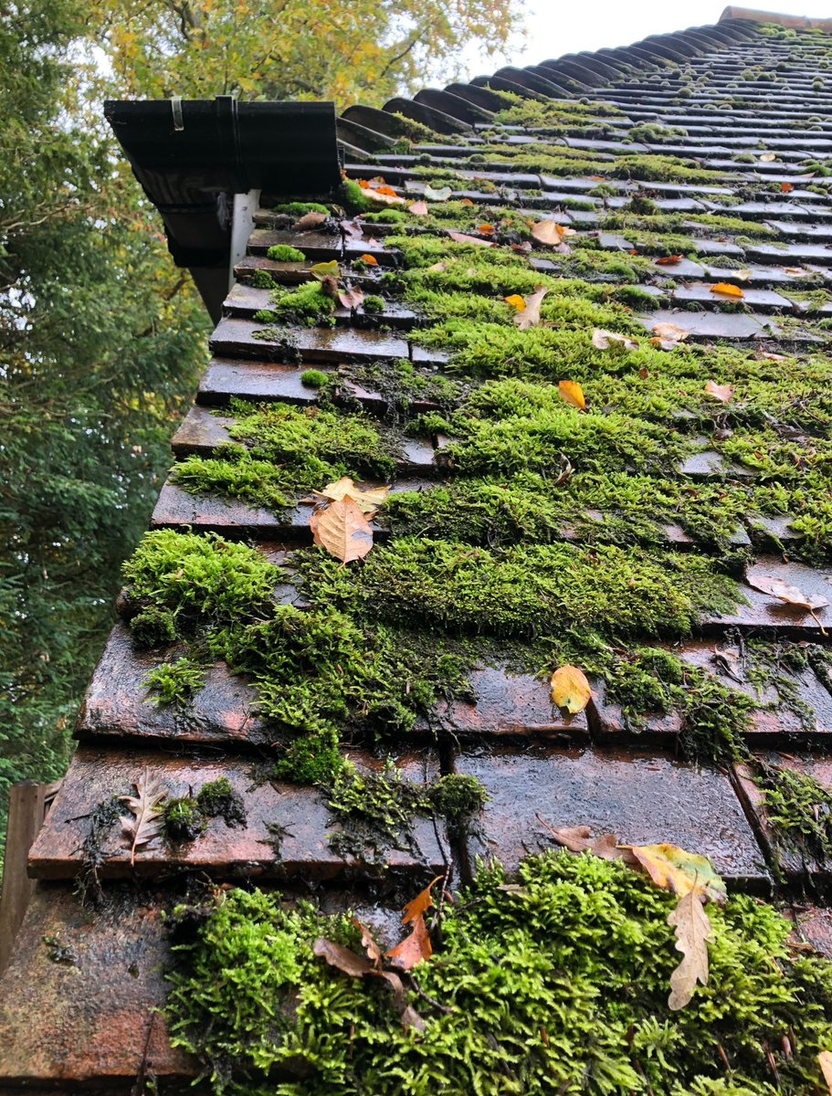 SpinnerJet's tweet photo. 🏠 Is your roof looking tired, dirty or covered in moss? 🌿

Give your property a fresh new look with our professional roof cleaning service! 💦✨

✅ Remove moss, algae &amp; grime

📩 Get in touch today for a free quote!

#RoofCleaning #ExteriorCleaning #PropertyMaintenance #Kent https://t.co/3LjPXXWZ54