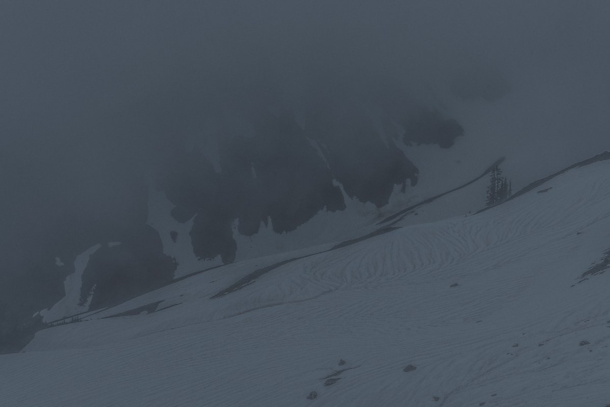 blodgrevinnen's tweet photo. comfort in bleakness https://t.co/cyXDWaPiJ2