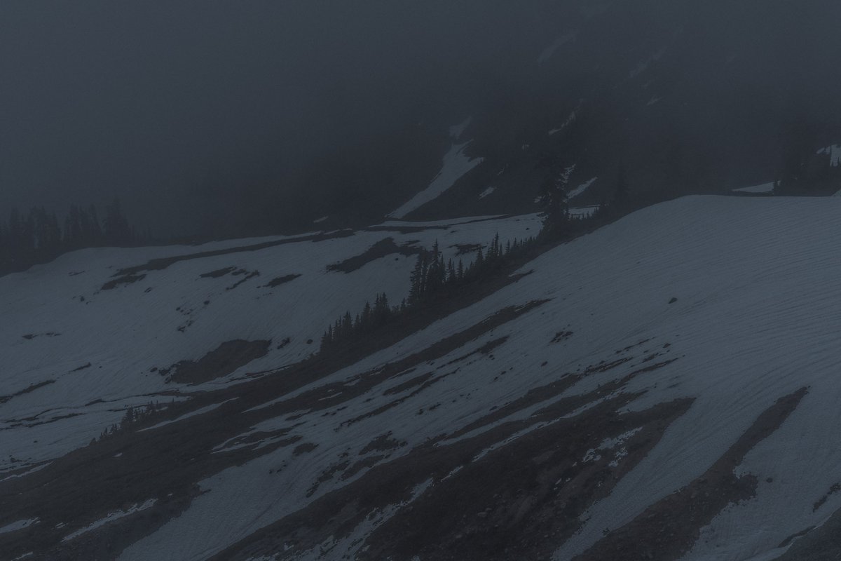 blodgrevinnen's tweet photo. comfort in bleakness https://t.co/cyXDWaPiJ2