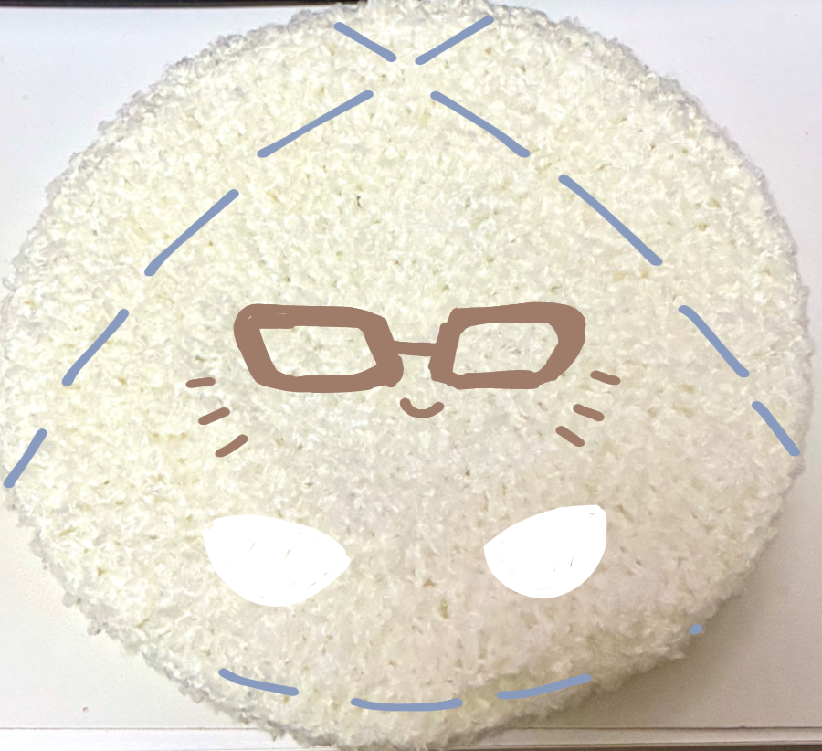 asucihcim's tweet photo. これどっちがいいかなー https://t.co/a0wvsuVt9p