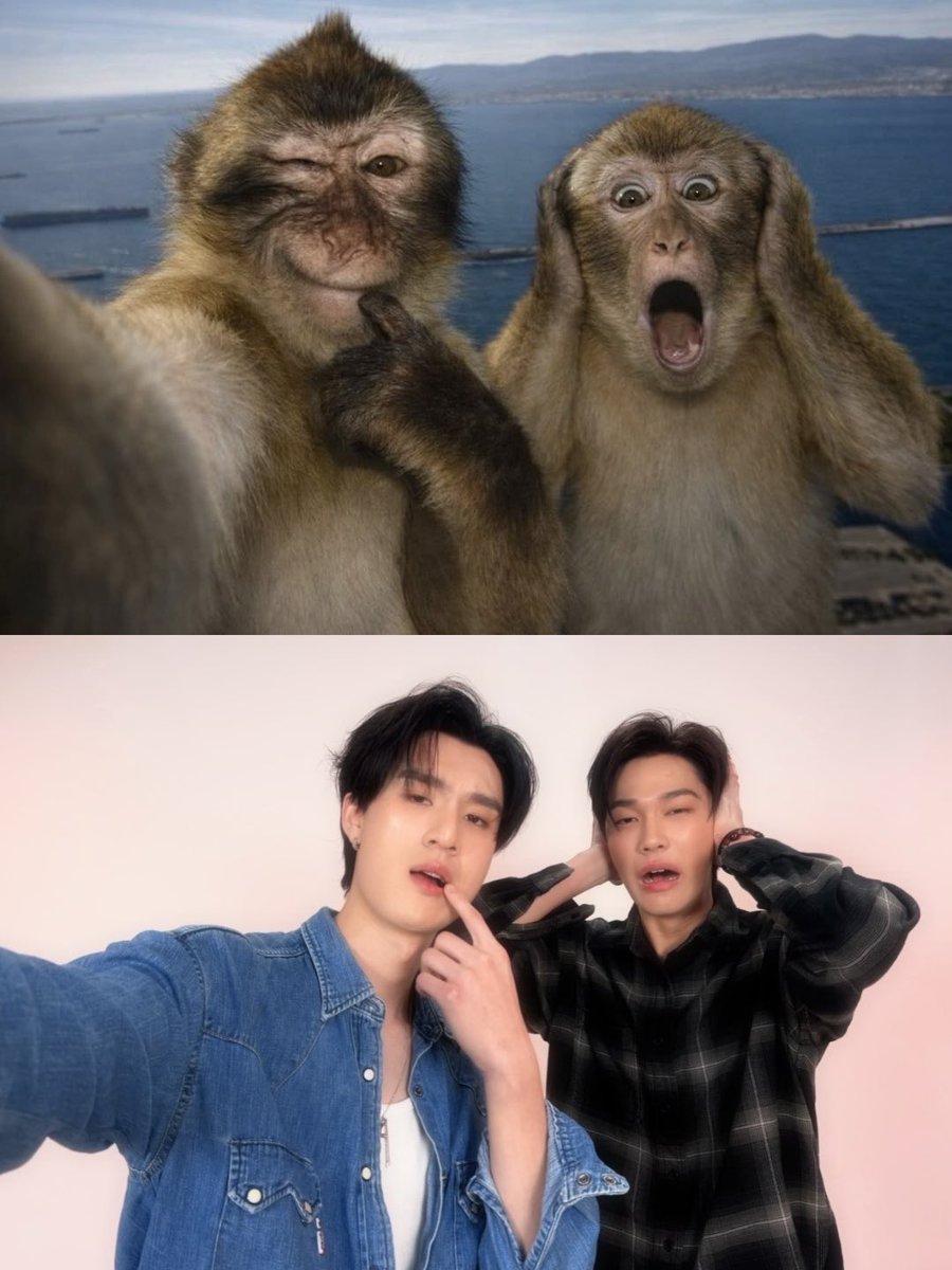 tthiwaavepp's tweet photo. stop I love it dewtee recreating these pics 🥹 https://t.co/DVlwE0Pxw0