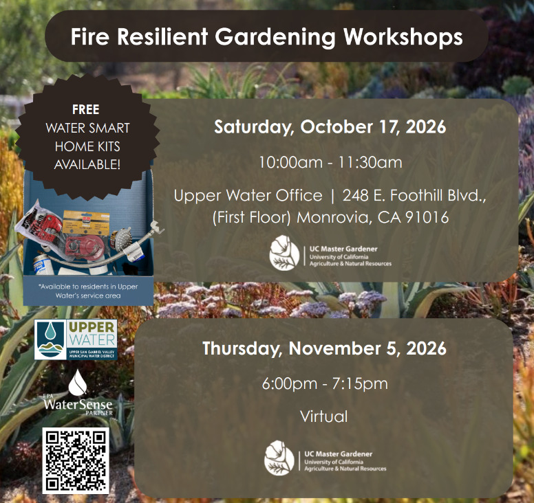 MonroviaNow's tweet photo. Free fire-resilient gardening workshops: Oct. 17 at Upper Water's Monrovia office, or online Nov. 5. https://t.co/nlq9r9unaA #MonroviaCA https://t.co/EfsK0XjwzS