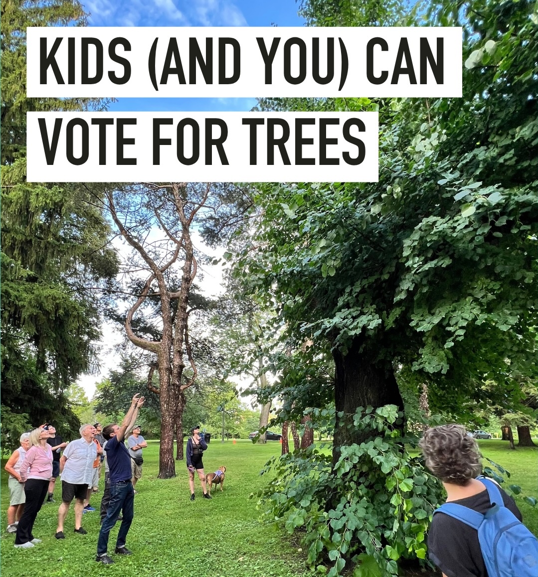 TOenviro's tweet photo. Kids can vote for Toronto’s 2027 Tree of the Year on Oct 10 &amp; 11, 10am-7pm, at all 50 advance voting places: https://t.co/LDGouOtHVX

Feeling left out? You can also vote for trees, see which candidates pledged to fund more trees in hot neighbourhoods: https://t.co/JbvuYVpoe8 https://t.co/dGezNvRlzq
