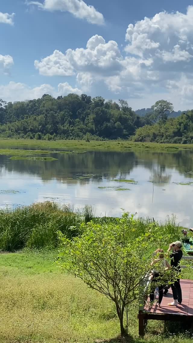 BSBAJCute's tweet photo. Explore Cat Tien National Park with Vietnam Two Wheels. Travel by car or motorbike, discover Crocodile Lake, cycle forest trails, walk among ancient trees, and experience Vietnam’s rich wildlife and ecosystems. https://t.co/Ah7cqubZiH
