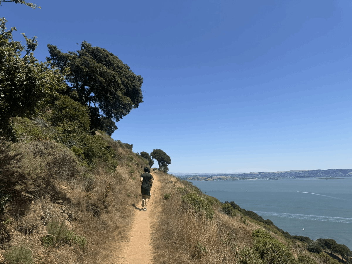 julianweisser's tweet photo. News: We're taking @builderswhorun back to Angel Island for our 2nd Annual BBQ/run.

Next Saturday (Oct 17)
- Ferry
- 5 mile run or hike
- BBQ on the beach

Builders are welcome to bring +1s: co-founders, BF/GF, spouses, and kids! 

Like + reply to join us! https://t.co/LZ5Zcj3AGr