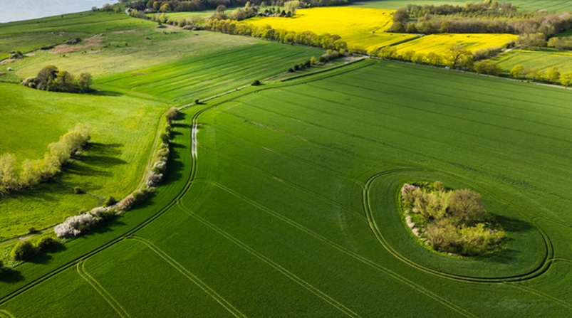 farmnewsnow's tweet photo. Farmland values increase on the Prairies dlvr.​it/TVrtLt https://t.co/OyFX2n2ZSR