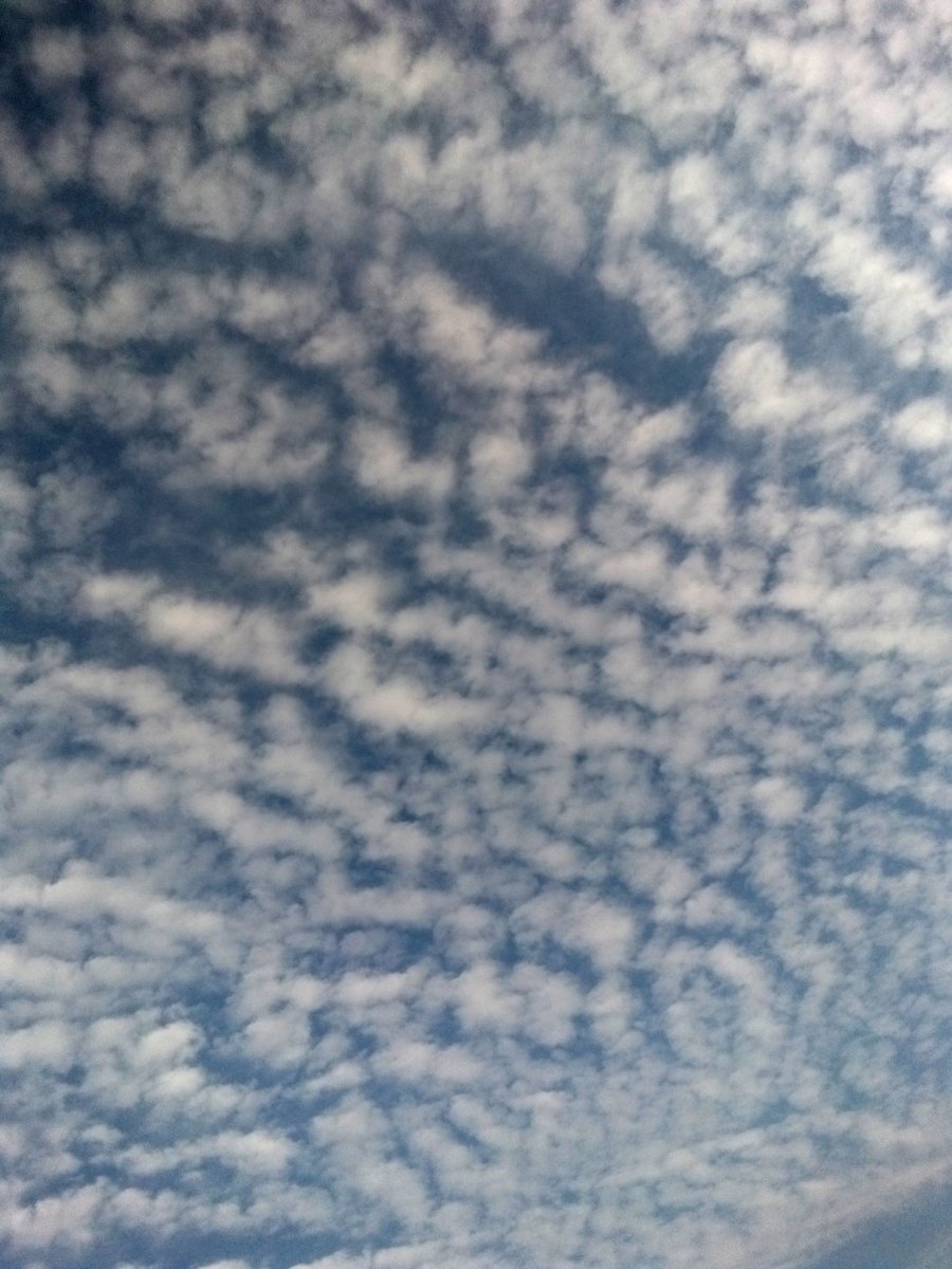 asmaanawar207's tweet photo. سماء فصل الخريف المُبهج.🩵🌧️ https://t.co/awF0fwl1PB