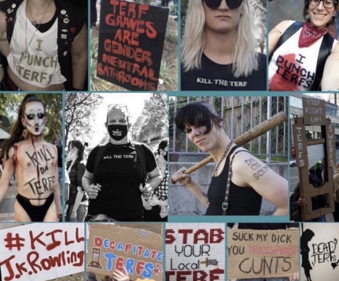 possumdevotee's tweet photo. funny how they seem to hate TERFs more than all the men allegedly killing them https://t.co/RI903qkqYK