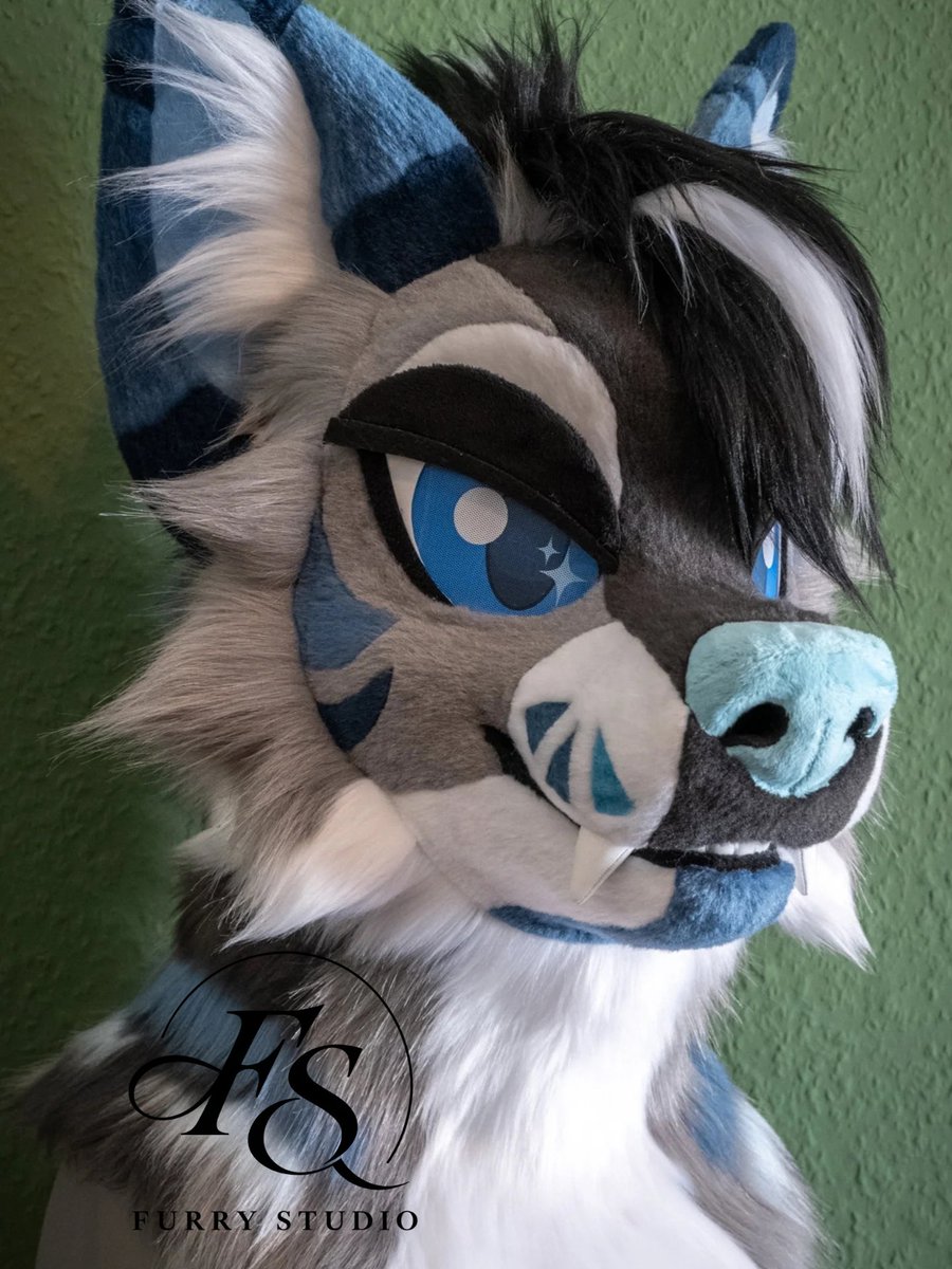 FurryStudiozz's tweet photo. Custommade finished!

First time doing 2D eyes worked out pretty good. Also first time working with this base and I LOVE it <3

COMMISSION OPEN 

#furryfandom #furry #fursuit #fursuiting #furries #fursona #fursuitmaker #furrygermany #furrydeutschland #furriefandom https://t.co/JeOqUR0ABl