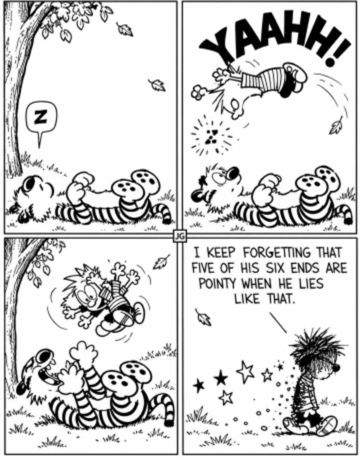 CAEDALPE's tweet photo. #Comics #CalvinandHobbes #RuthlessAggression ๐ https://t.co/p9VPN4ZPe6