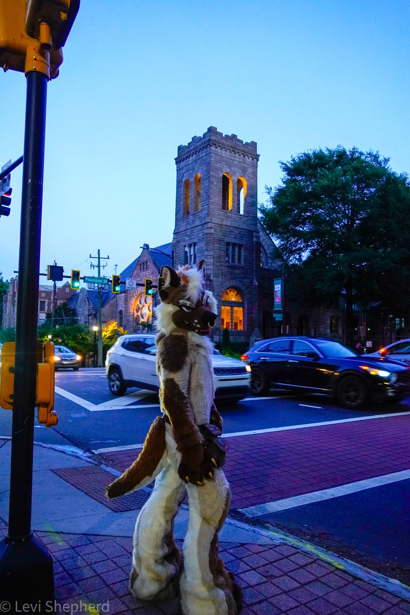 PAWMAINS's tweet photo. 🚘 Chasing Cars 🚘

Happy Fursuit Friday https://t.co/mXtLzDxzz5