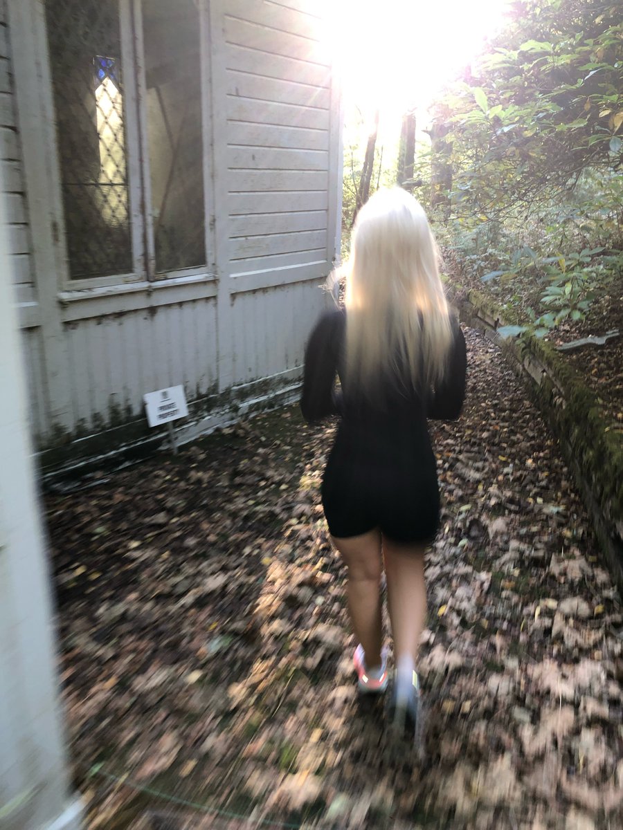frostyw0rldbaby's tweet photo. Abandoned chapel in Scotland 🏰 unfortunately couldn't get inside probs due to antisocial behaviour from teens or something :( but the view from inside is amazing, proper stained glass windows and wooden pews https://t.co/9uOZRaTlKM