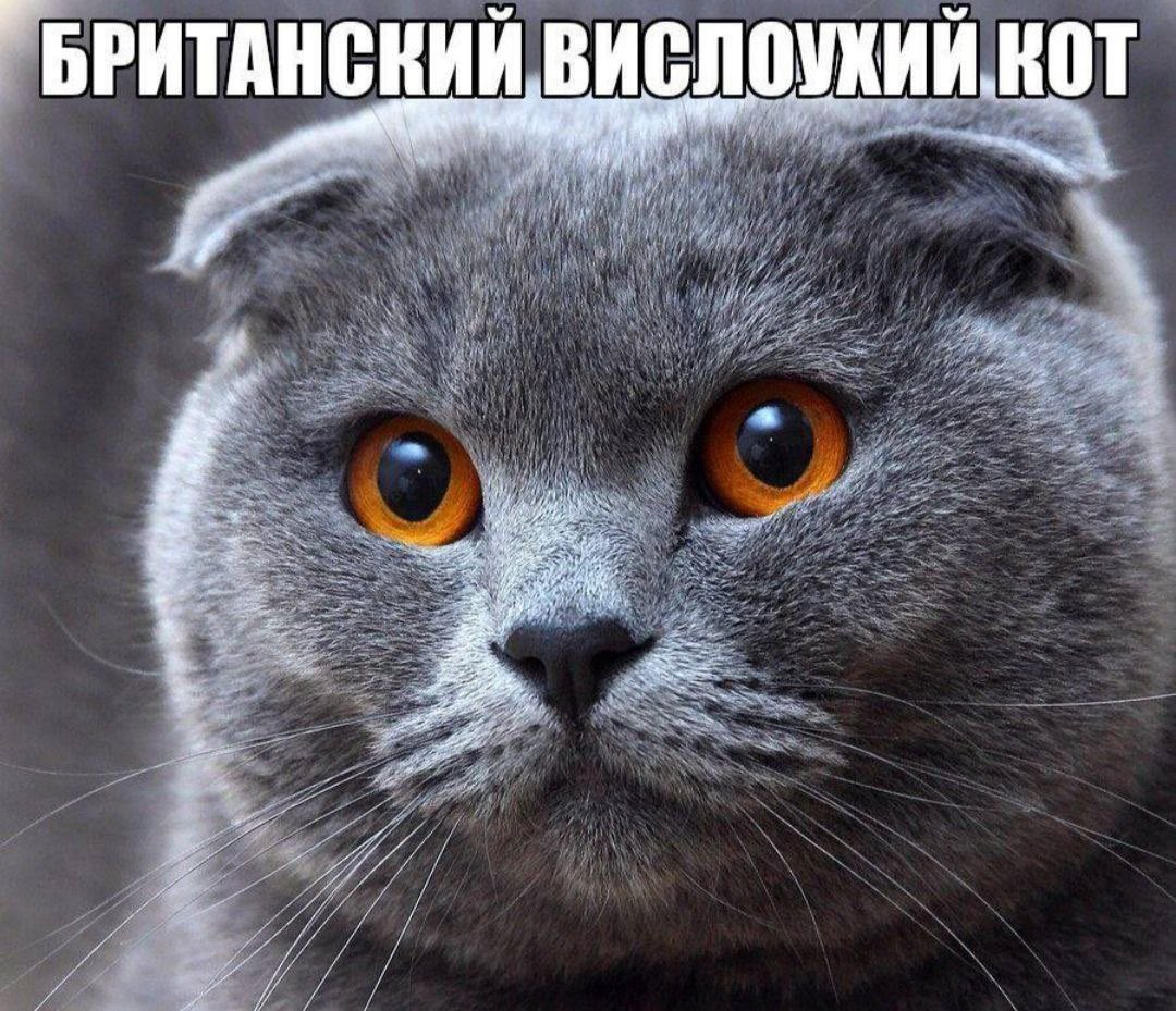 leikabitch's tweet photo. https://t.co/bLP502qUSH