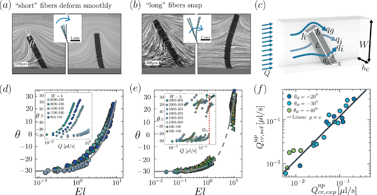 PhysRevX's tweet photo. A new way to study how memory forms in complex networks indicates that memory can emerge in a fluid network without built-in bistability or external controls. 

Read the paper: https://t.co/XXQRZ3IOVT https://t.co/Z3qgrLjcqd