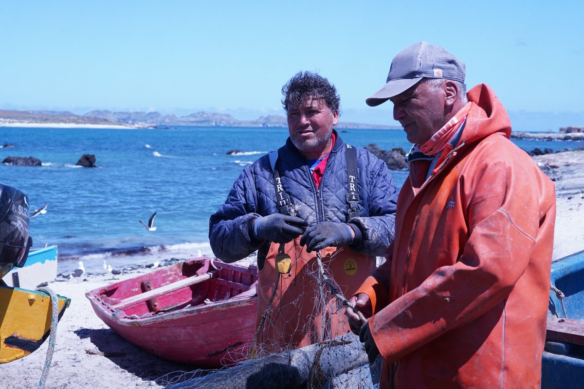 CORECoquimbo's tweet photo. ⚓🌊 La nueva Caleta Los Corrales, en La Higuera, fortalece el trabajo de la pesca artesanal y abre nuevas oportunidades para el turismo local.

Con una inversión cercana a los $3.658 millones, el proyecto incorpora un muelle, protección frente al oleaje y espacios accesibles https://t.co/SqtR7WoyGv