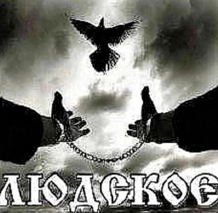 GM_notjam's tweet photo. Друзья, я вообще забыла выкладывать сюда инктобер. Щас будет дроп
День 2, реликвия

#inktober #инктобер https://t.co/OOrKwv2WnN