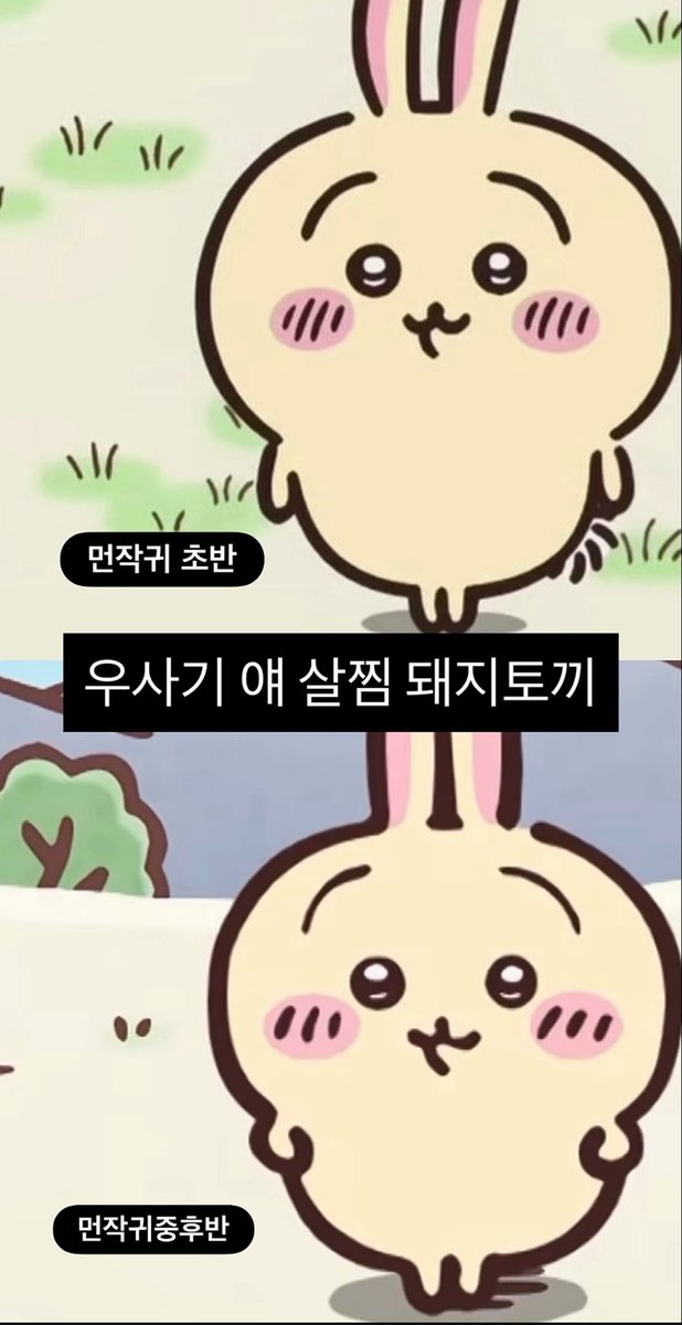 azure247365's tweet photo. 꼬리가 안보이네 ㅋㅋ
살쪄도 귀여워 https://t.co/LskvImrPha