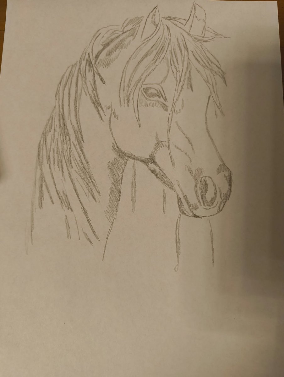 nikasmilesk's tweet photo. My latest horse drawing 🐴🤎

Swipe to see how it came together! ✏️✨

#HorseArt #DrawingProcess #ColoredPencils #TraditionalArt #EquineArt https://t.co/q1ou75p2MI