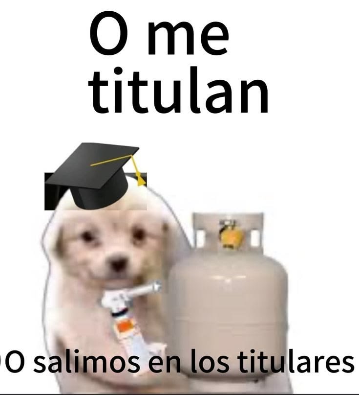 _alvarado_n's tweet photo. mi situación universitaria actualmente: https://t.co/3VPgOR1z5G
