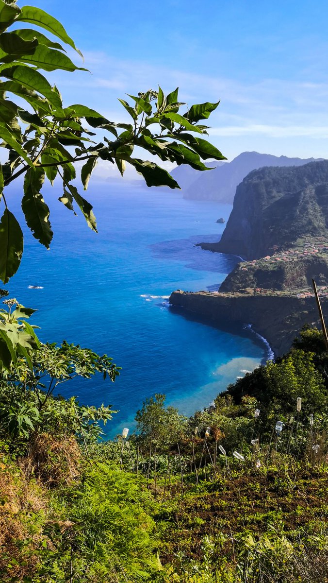 RojaaTheodore's tweet photo. Madère, là où l’Atlantique rencontre des falaises vertigineuses et une forêt de laurisylve millénaire. Une île volcanique, sauvage et intense, entre océan et sommets. On y vient pour les paysages, on en repart transformé. https://t.co/3TEAgc6YuA