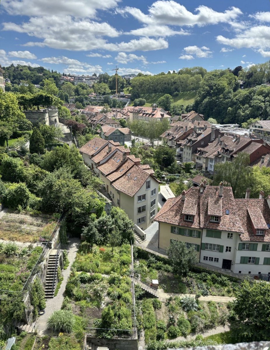 W0rld2026's tweet photo. Switzerland 🇨🇭 https://t.co/rUJ7mYFta8