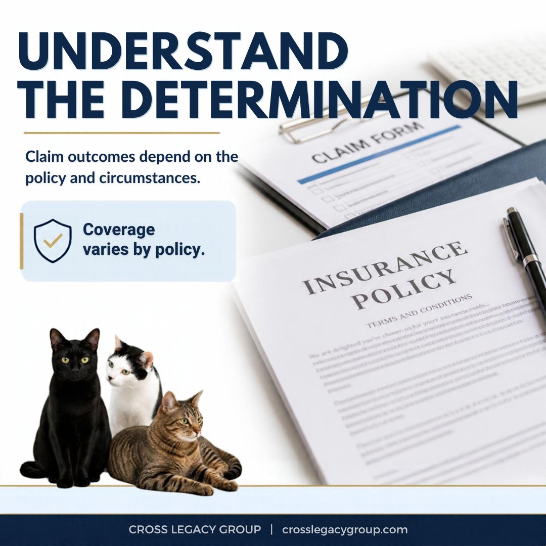 HeidiIbrahimRE's tweet photo. Understanding the insurance process can help a homeowner make more informed decisions after property damage.
Document the loss, understand the claim, and review the numbers before deciding what comes next.

#InsuranceClaims #PropertyDamage #FloridaRealEstate #InsuranceEducation https://t.co/A6c0WwBE31