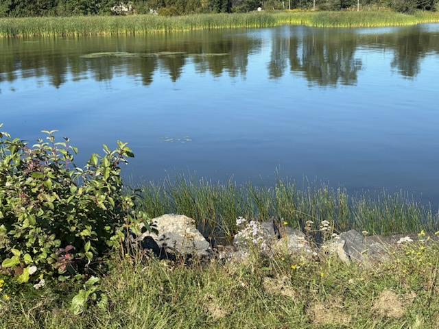 MetisNationON's tweet photo. MNO representatives joined federal and local leaders in Nipigon to mark the successful restoration of Nipigon Bay and its removal from the list of Great Lakes Areas of Concern. The milestone reflects decades of work to protect the health of the bay.

Read: https://t.co/3bCKOZEypd https://t.co/pOWVUKcfQ0