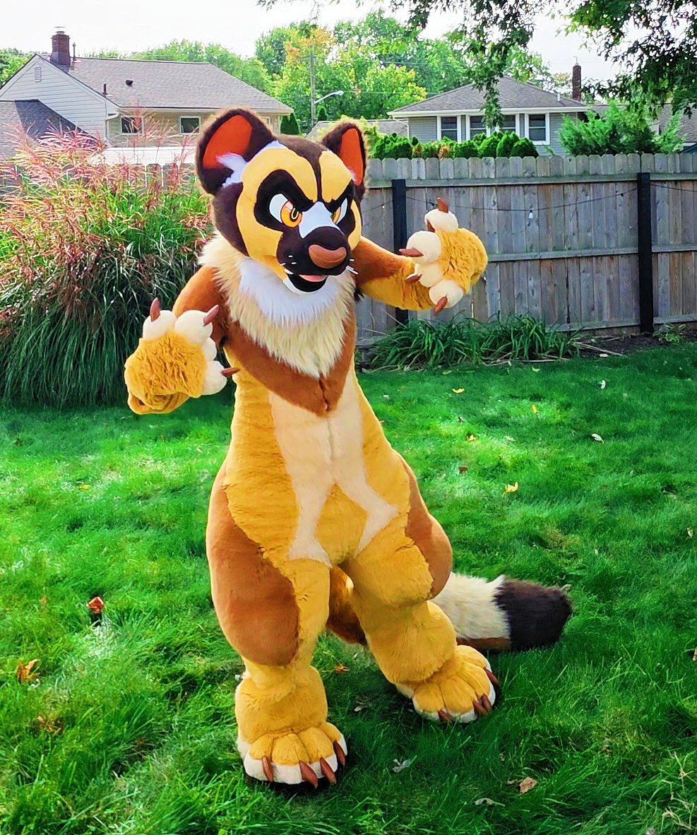 korgifox's tweet photo. I love being a weasel :3 https://t.co/5VnlEFz8vr