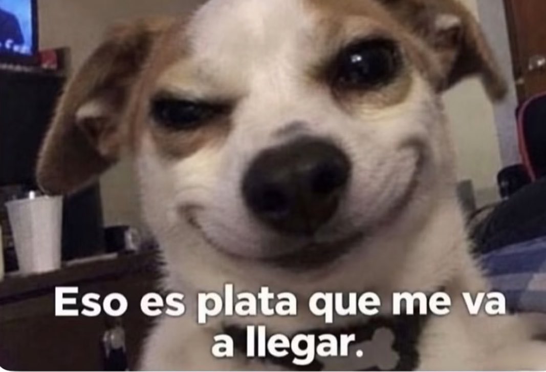 ElPanditaRojo_'s tweet photo. *Me da comezón  la palma de mi mano*
Yo automáticamente: https://t.co/awv5SeE9ql