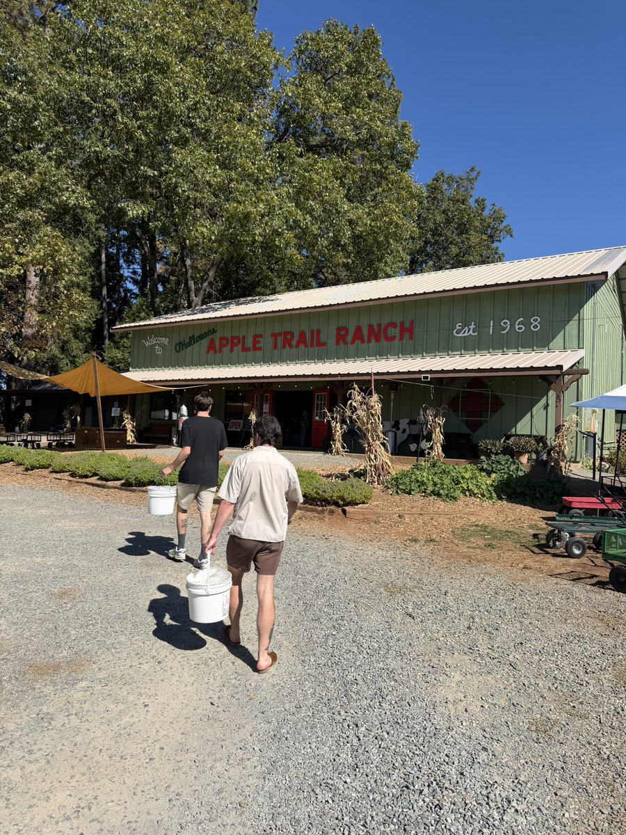 rubmywang's tweet photo. apple hill! 🍎❤️ https://t.co/flpZZCMVde